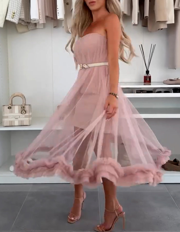 Chic Tulle Ruffles Trim Dress