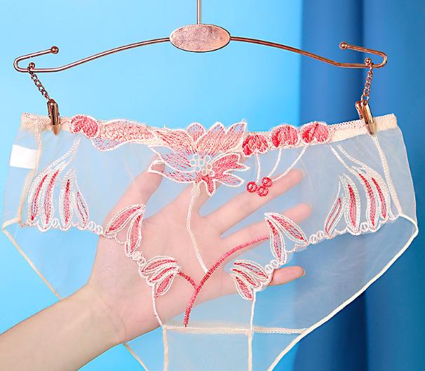 Sheer Mesh Lace Gynecological Panties