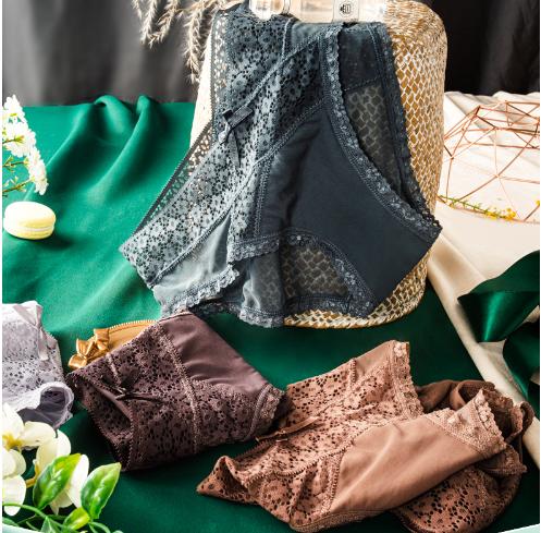 Transparent Mesh Lace Breathable Gynecological Panties