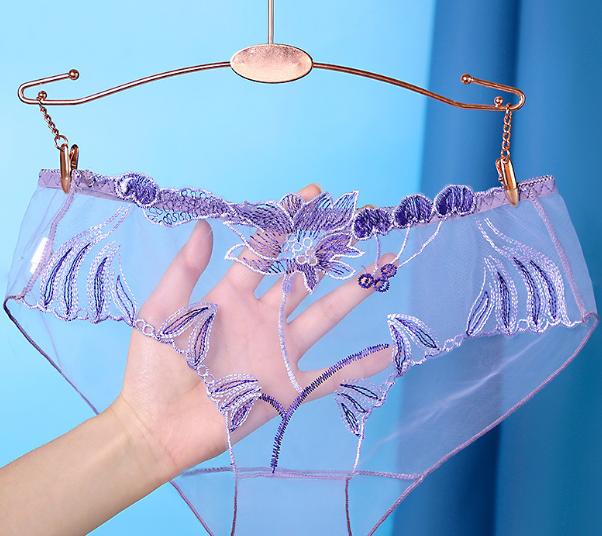 Sheer Mesh Lace Gynecological Panties