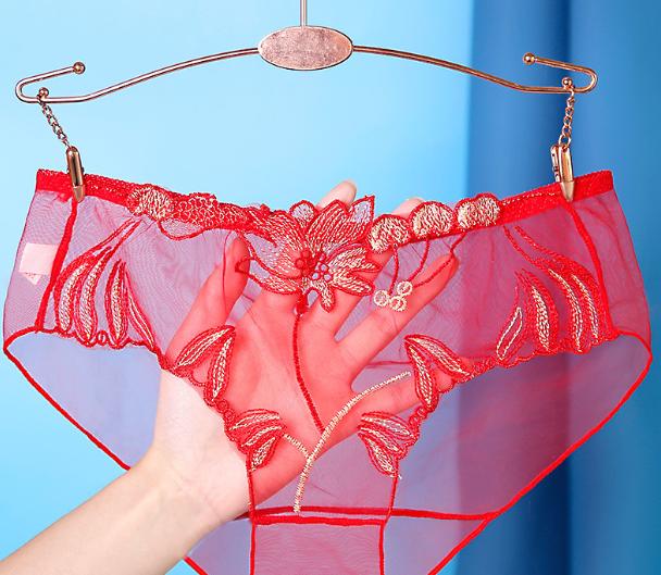Sheer Mesh Lace Gynecological Panties