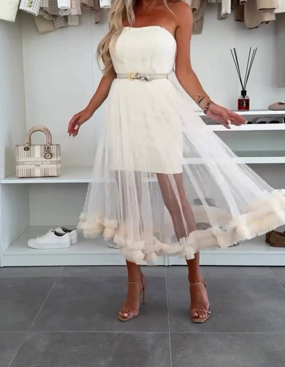 Chic Tulle Ruffles Trim Dress