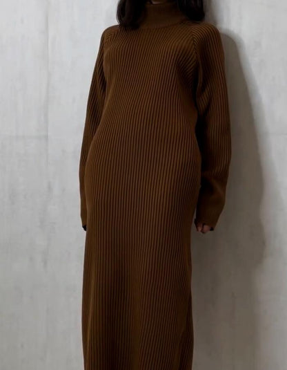 Knit Stretch Slim Dress